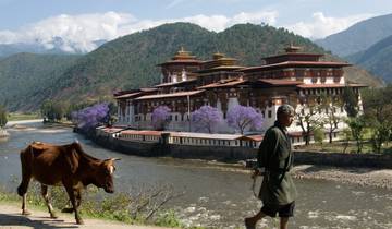 Feste in Bhutan - Thimphu