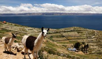 13 dagen Andes Natuurschatten – Peru & Bolivia