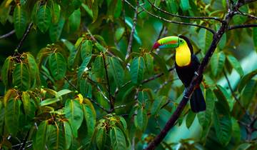 13 Days in Panama & Costa Rica, incl. Panama City and Manuel Antonio