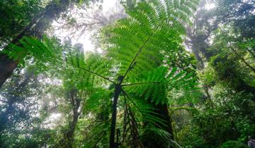 13 Days in Panama & Costa Rica, incl. Panama City and Manuel Antonio