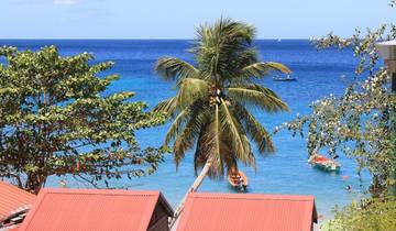 Croisière sur les îles de la Dominique et des Antilles françaises