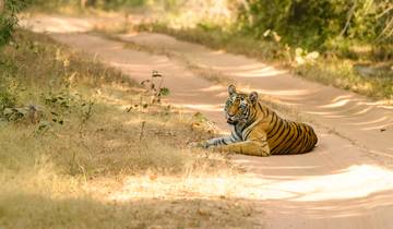 Bandhavgarh Ranthambore Tiger Tour Tour
