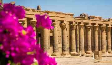 Alexandria, Ancient Egypt & Nile Cruising - 13 days Tour