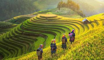 7-Day Tour of Hanoi, Halong and Sapa - best price Tour