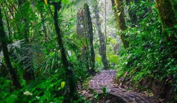 Natur pur Costa Rica