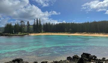 Norfolk Island All-Inclusive with Sightseeing, Meals & Car Hire Tour
