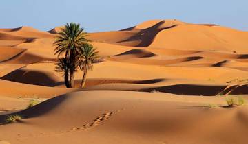3 Days Chegaga Desert From Agadir Including Camel Ride and Berber Desert Camp Tour