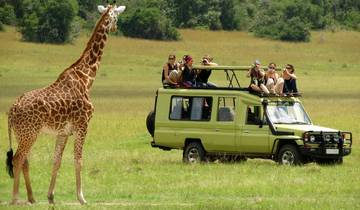 3 days Serengeti & Ngorongoro Fly-in Lodge safari from Zanzibar Tour