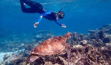 Australia’s West Coast & Ningaloo Reef – 8 Day Boutique Tour Tour