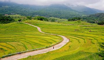 Circuit authentique au nord du Vietnam à Mai Chau et dans la réserve naturelle de Pu Luong - 3 jours circuit