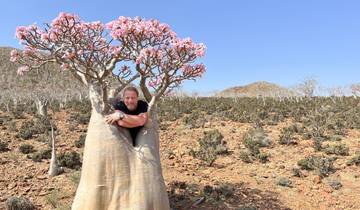 Socotra - île de la fin des temps