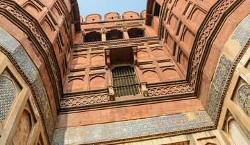 26 Days in India Wildlife Tour, incl. Delhi and Kolkata