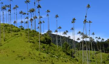 Colombie : Culture, café et Caraïbes circuit