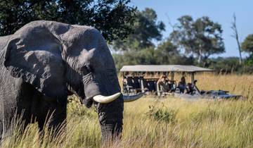 Budget Lower Zambezi National Park wildlife-focused safari (4 Days). Tour