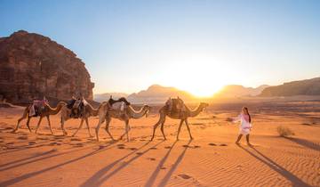 Petra & Wadi Rum Wild Camping Under The Stars Tour