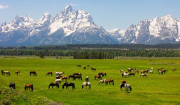 Yellowstone Discovery (Classic)