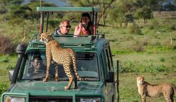 4 dagen wonder van tanzania safari-rondreis