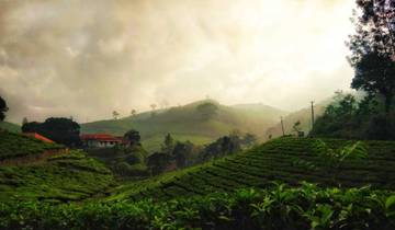 Kerala With Ayurveda - Ultimate Destination For Rejuvenation