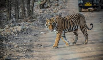 Luxury Golden Triangle with Ranthambore Tour Tour