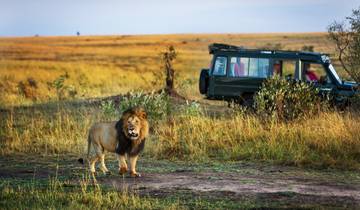 Breathtaking 3 Days Mikumi and Udzungwa National Park Midrange Safari