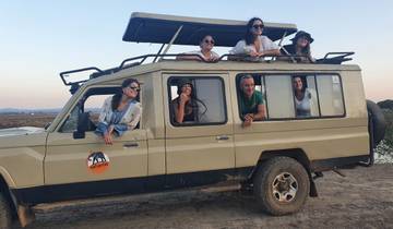 2-Day Northern Tanzania Safari: Tarangire & Lake Manyara Tour