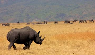 Mkomazi - Rhino, Materuni Waterfalls & Cultural Safari Tour