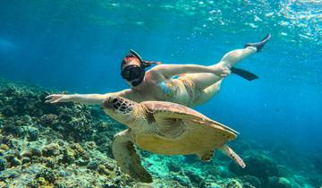 Le meilleur de Bali - Feel Free Travel circuit
