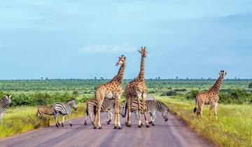 Kruger Safari with Eswatini (7 Days) Tour