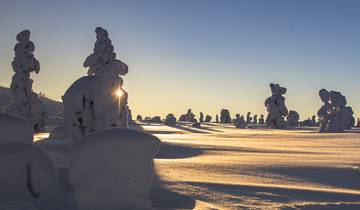 Finland - Northern Light Adventure Tour