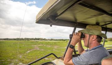 3 Days Wildlife Tanzania Safari - Lake Manyara National Park, Tarangire national Park & Ngorongoro Crater