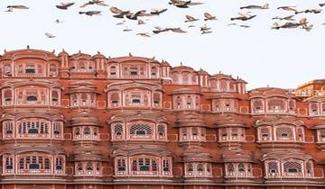 Circuito Circuito a la cultura y la fauna de Rajastán: Un viaje exquisito al corazón de la India - Todo incluido