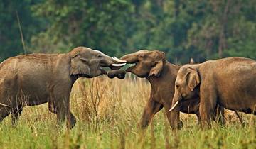 Premium India and Nepal Tour