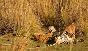Premium India and Nepal Tour