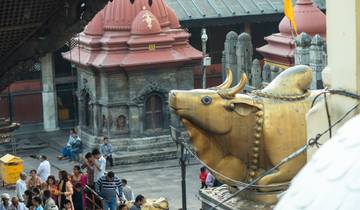 Famous 14 Days India Nepal Wildlife Tour with Taj Mahal Tour