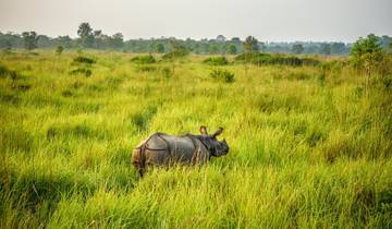 Majestic Nepal
