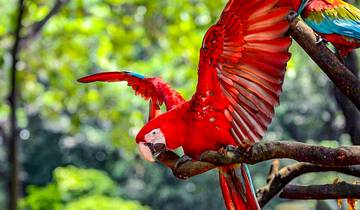 Tailor-Made 10 Days Best Honduras Family Tour with Daily Departure