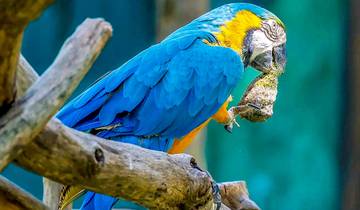 Tailor-Made 8 Days Honduras Cultural Trip, Daily Start and Private Guide