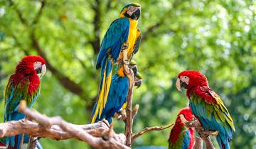 Aventure personnalisée de 14 jours au Honduras, départ quotidien et guide privé