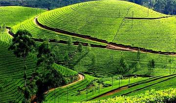 10 Days in Kerala, incl. Kochi and Alleppey