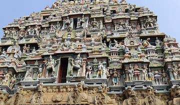10 Days in Kerala, incl. Kochi and Alleppey