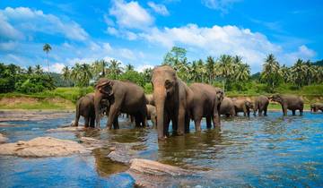 Holidays in Sri Lanka - 04 Days 03 Nights Tour Tour