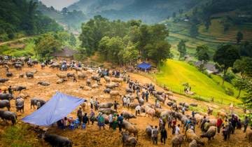 Vietnam Off the Beaten Path Journey in 14 Days - Private Tour Tour