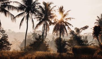 Best of Bali & Komodo Escape