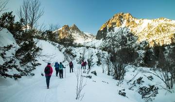 Winter High Tatras Hiking and Treetop Path