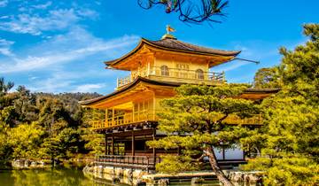 Cultural Treasures of Japan  (Tokyo to Kyoto) (2024) Tour
