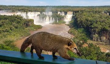 From main Brazilian historic cities to Argentine-Brazilian waterfalls Tour