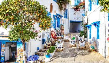 9 Days in Tunisia, incl. Tunis and Carthage