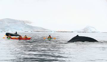 The Ultimate Antarctica Experience - The Peninsula In Depth Tour