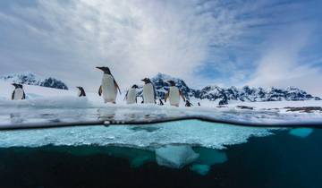 The Antarctica Explorer Tour