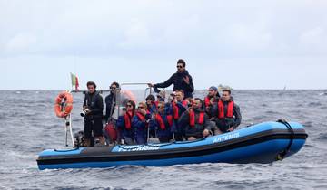 The Whales Expedition